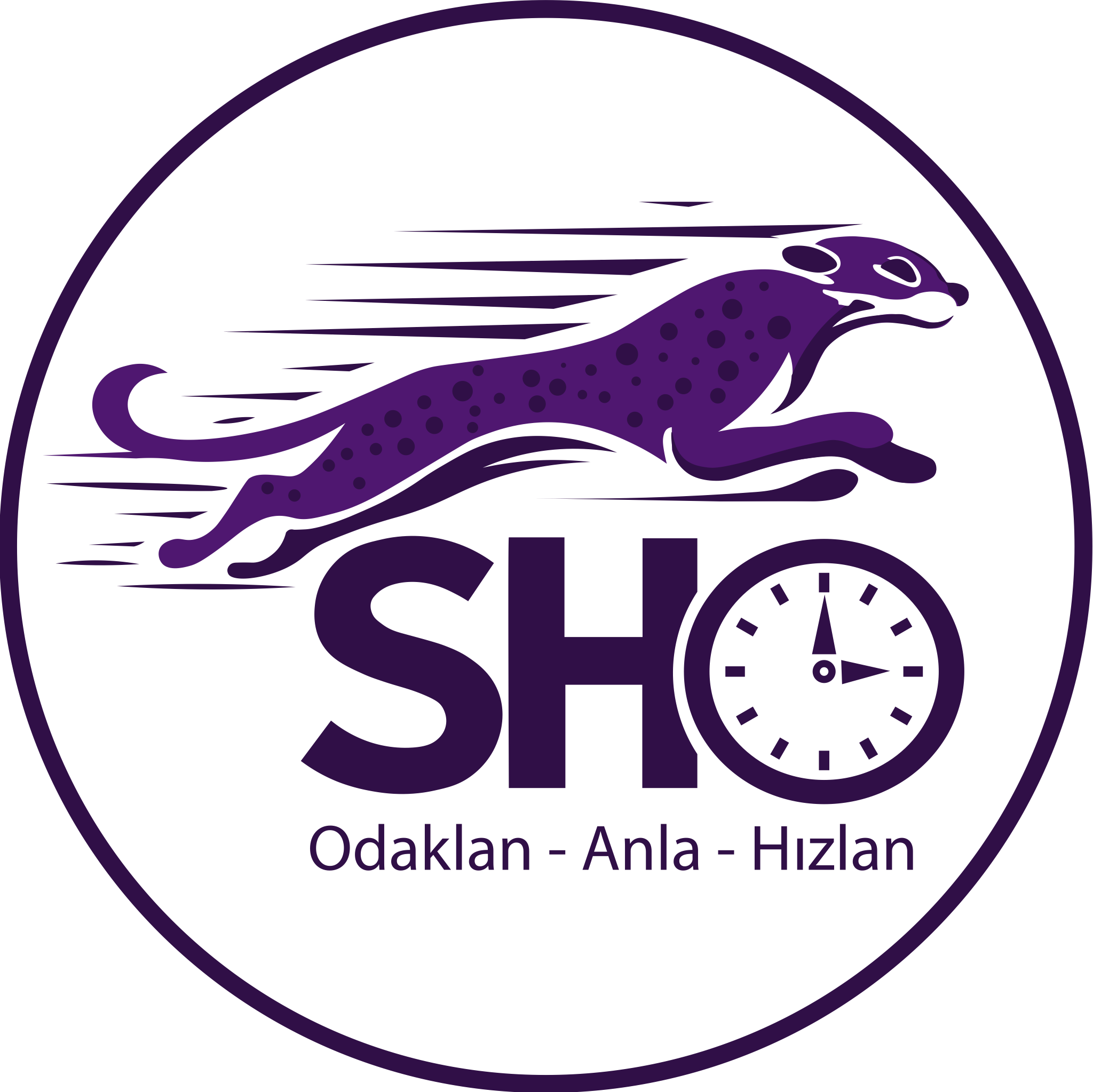 Samsun Hızlı Okuma logosu